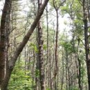 횡성호수펜션 이미지