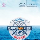 부산낚시 - 속초시 중앙로 148-1 | 부산낚시