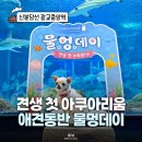 지에스25 광교 포레나점 | 강아지랑 아쿠아리움에 갈 수 있다고? 견생 첫 물멍데이 수원 광교 아쿠아플라넷