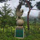 대일내장산컨트리클럽 | 독수리가 함께 하는 내장산cc 필드레슨 라운드! (골프레슨앱 스승님)