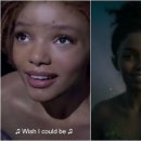 팅커벨PC 이미지