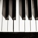 카르디아 이미지