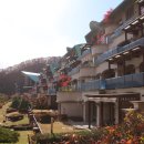 소노하우스 이미지