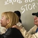 어글리독 이미지