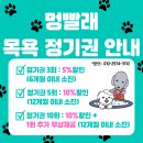 시바견 전문 가도켄넬 | [강아지 출장목욕 멍빨래] 반려견 출장 목욕 - 경기도 안양 복서&amp;시바견 대형견 출장목욕 후기