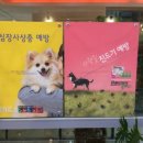 하나사랑동물병원 네이버블로그