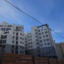 인삼성부동산중개 이미지