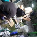 약산면-3 이미지