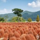 [소도시 낭만 여행, 마이리틀시티] 9탄 때묻지 않은 자연을 품은 의령에서 맞이한 가을 이미지