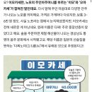 거제 현지 포차 찾는다면 장평 술집 아는누나집 | 제철 해물 이모카세부터 과일한상까지
