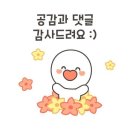 그리너리문팬션 | 제주여행 서귀포 독채숙소 감성스테이 반려견동반가능한 &#39;그리너리빌리지 펜션&#39; 후기 및 정보