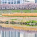 하천(충훈2교) 이미지