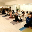 프라나요가 이미지