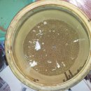 연세느티나무치과의원 이미지