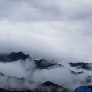 지리산화개깊은골 이미지