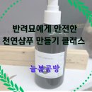 늘봄 그루밍 이미지