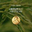 별하약국 이미지