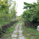 서광서리 이미지