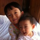 숲속의별들