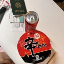 다본안경(오산점) | 보홀 4박 5일, 4일차 ➁ | 보홀 안경원숭이와 초콜릿힐 보러 셀프 오토바이 육상 투어 ⁰⁵₀₆