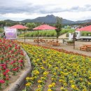 나리공원 파크골프장 화장실 이미지