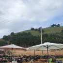 in 섬 story 이미지