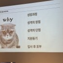 두드림나인 | 부산 청년 잡성장프로젝트/ 챗 GPT 활용 취업캠프 참여 후기