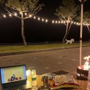 위드힐링 이미지