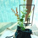 마크라메 이미지