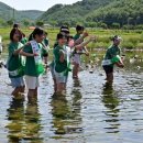 길안초교 이미지