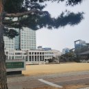 건양건강약국 | 대전시청 선별진료소 코로나검사 PCR 양성, 비대면진료 약처방 후기