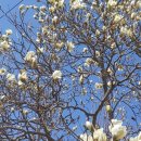 거두2리 이미지