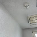 신영페인트