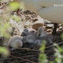 엘림의원 이미지