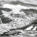 자연 농원 이미지