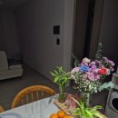 한라컴퓨터 | 천안이삿짐센터]한라익스프레스!! 늦은후기..