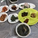 삼척해동해물