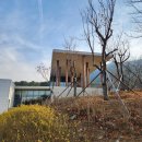 청화반점 | [대구간송미술관] 상설전시_251210(수)