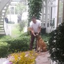 찰리호텔 이미지