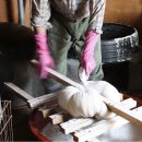 경진초등학교 이미지