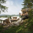 온더락캠핑장 이미지