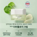 인셀덤이야기 | [2+1 할인 행사 종료 임박] ✨ 인셀덤 더마톨로지 크림 후기 – 자이언트 병풀 3솔루션으로 탄력·리프팅...