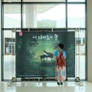 꿈의숲피아노음악교습소 | 뮤지컬<피아노의 숲>대구. 자둘 후기/2026.7.12.14:00
