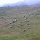 무도목장 이미지