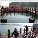 중화어촌계낚시터 이미지