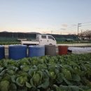 진례농협하나로마트 이미지