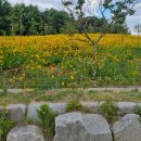 갈현체육공원2 이미지