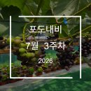 가온적산