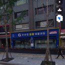 프라임 동물병원 앞 | 펫소좀 리얼 후기 강아지 줄기세포 엑소좀 치료 IBD 진행과정 효과 면역 재생치료 프라임 동물의료센터