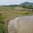 녹지부동산공인중개사사무소 이미지